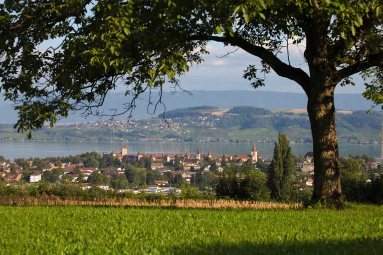 Bild Murten - Startseite