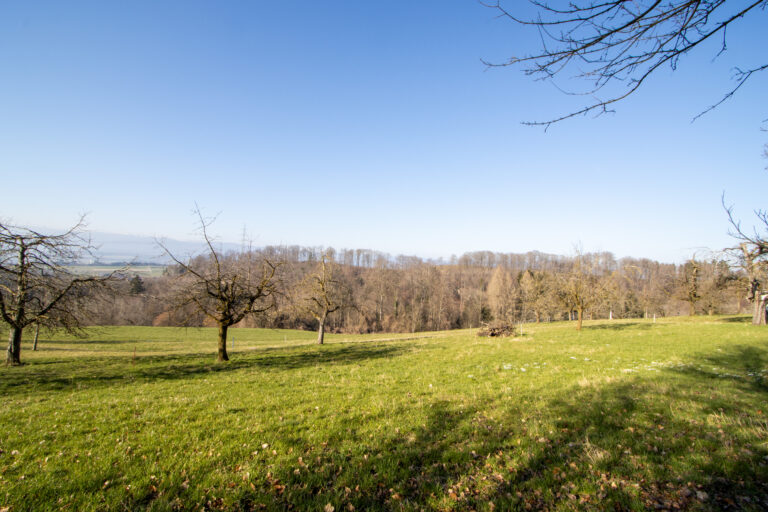 Aussicht, Landwirtschaftszone