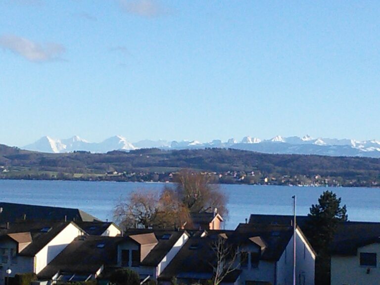 Aussicht_1