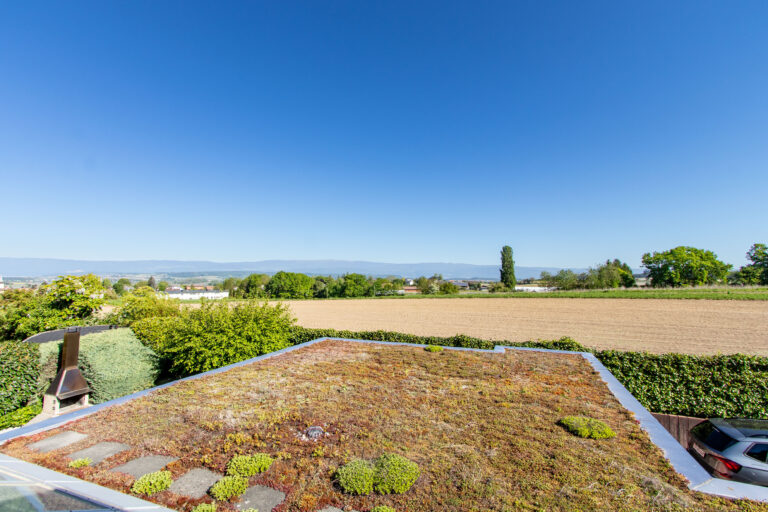 Aussicht_Dachterrasse