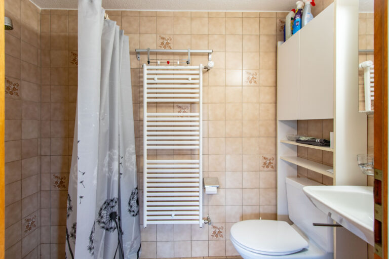 Dusche_WC (2)