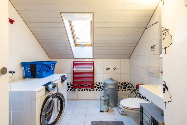 Dusche_WC_Waschkueche