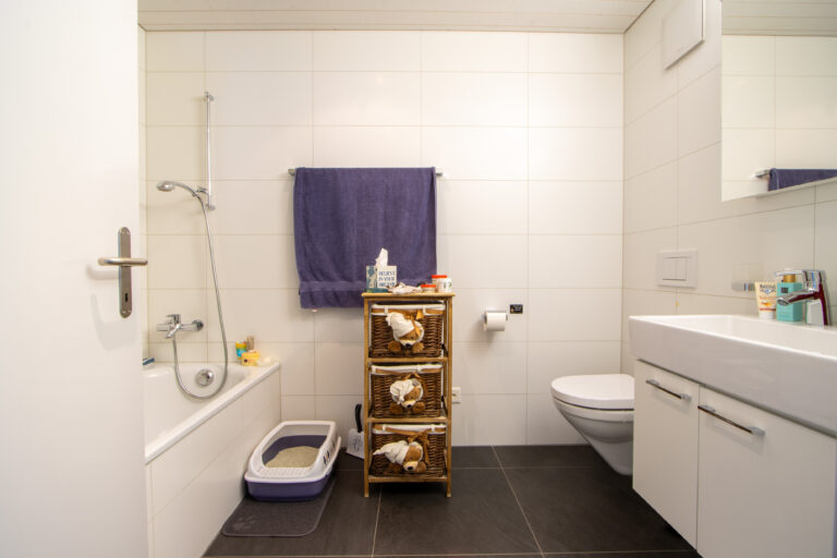Bad m. Badewanne