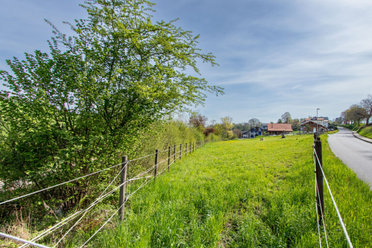 Baulandparzelle_1