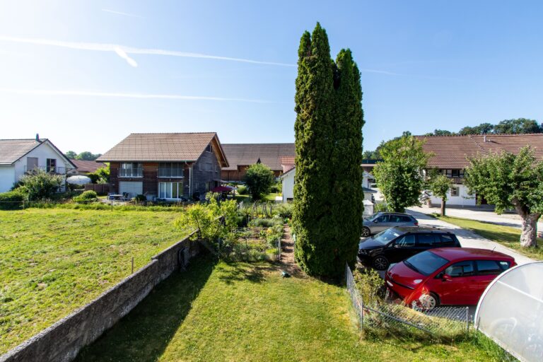 _MG_8694 ohne Kennzeichen