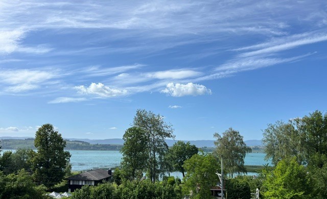 Seesicht