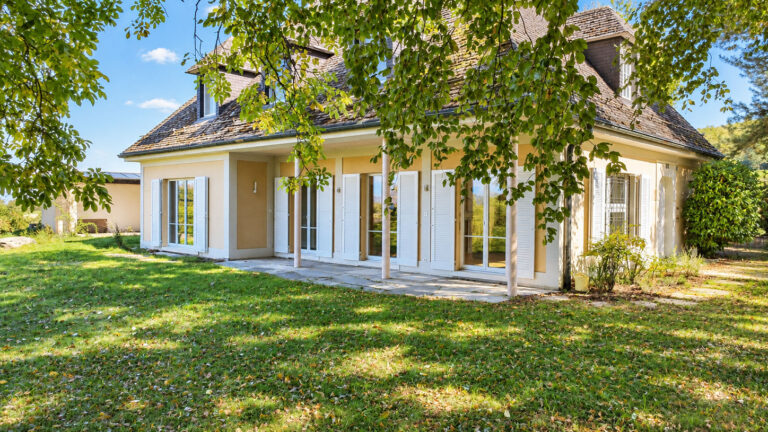 Sonniges-Landhaus-unter-grünen-Baumkronen