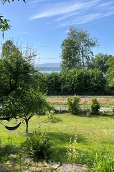 Garten4