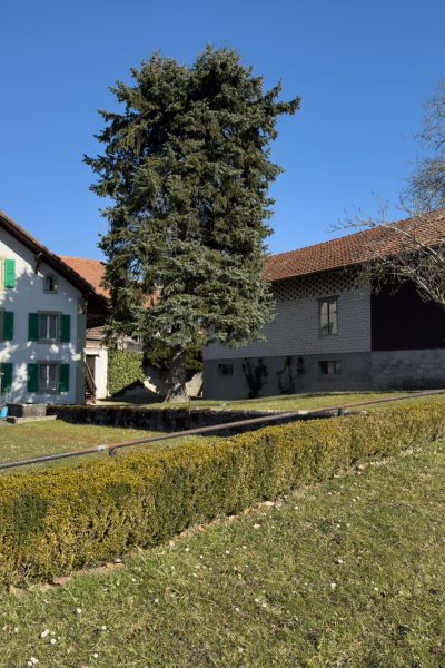 Titelbild-neu-27.03.2025